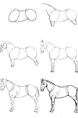 Лошадь рисунок карандашом поэтапно для начинающих