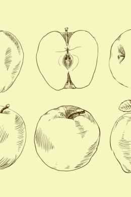 Рисунок яблоко поэтапно