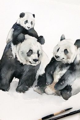 Панда акварелью