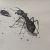 Рисунок карандашом муравей