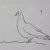 Рисунок голубя для срисовки карандашом
