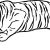 Трафарет раскраска тигра