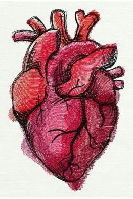 Нарисованное сердце карандашом