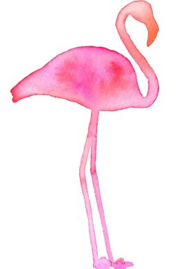 Рисунок фламинго карандашом