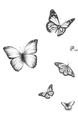 Рисунок бабочки карандашом