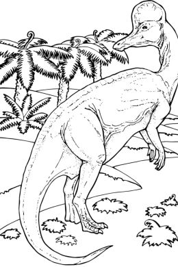 Динозавр раскраска