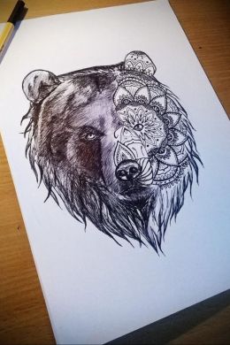 Эскиз медведя