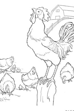 Раскраска курица с цыплятами