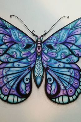 Рисунок бабочки для срисовки