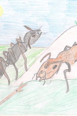 Стрекоза и муравей рисунок детский