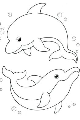 Раскраска дельфинчик