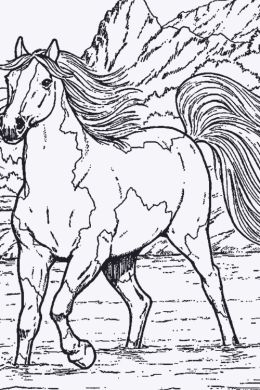 Раскраски про лошадей
