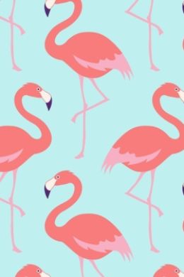 Фламинго раскраска