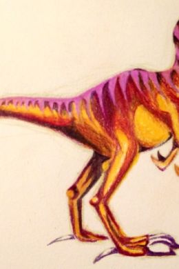 Рисунки для срисовки динозавры