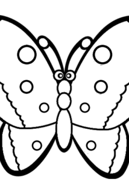 Бабочка раскраска простая