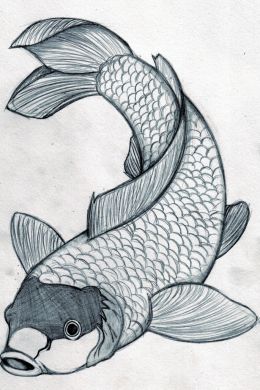 Рисунок рыбки карандашом