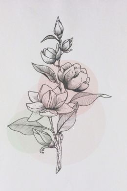 Эскизы цветов для рисования