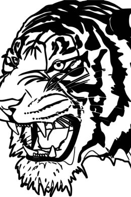 Голова тигра рисунок детский