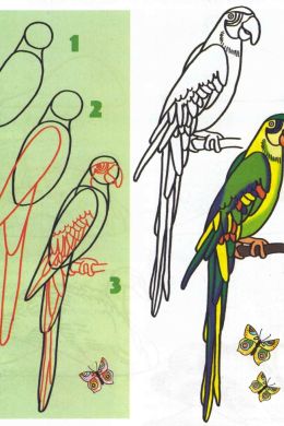 Детский рисунок попугая