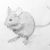 Рисунок мышки карандашом