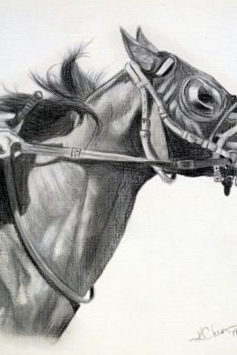 Рисунки лошадей карандашом