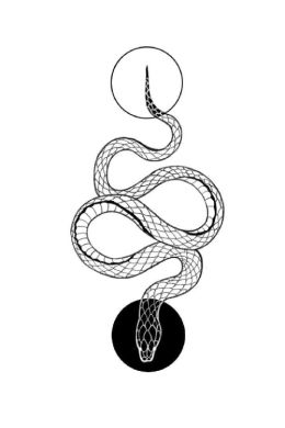 Змея эскиз минимализм