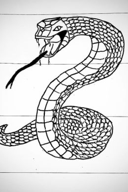 Рисунок змеи для срисовки