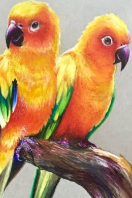 Рисунки для срисовки попугай
