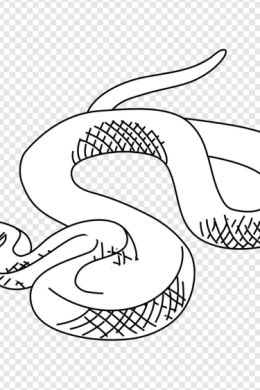 Змея срисовка