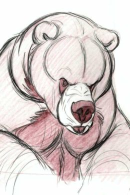 Медведь нарисованный карандашом