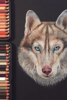 Животные цветными карандашами