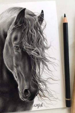 Портрет лошади карандашом