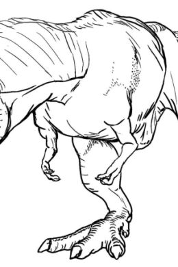 Раскраски динозавры мир юрского периода