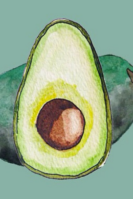 Милые рисунки для срисовки авокадо