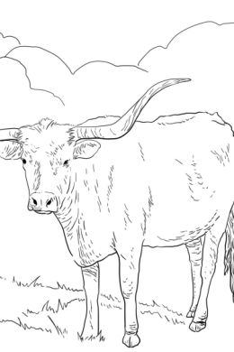 Рисунки для срисовки корова
