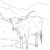 Рисунки для срисовки корова