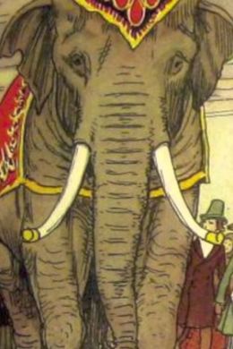 Слон и моська раскраска