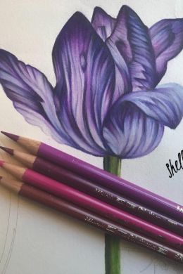 Цветок цветными карандашами