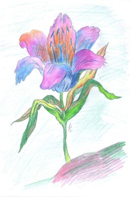 Неизвестный цветок раскраска