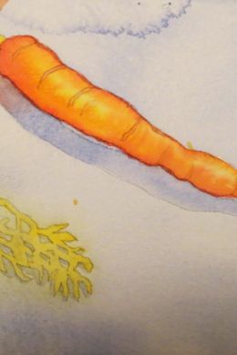 Морковь карандашом