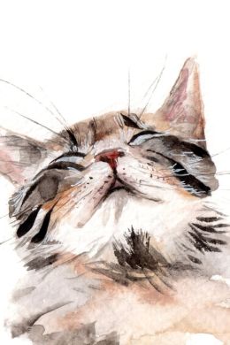 Рисунок кошка для детей