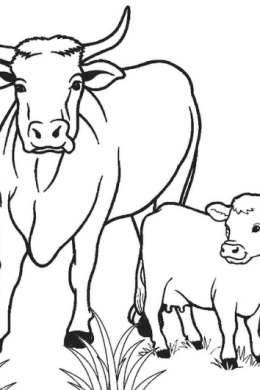 Рисунок корова для детей