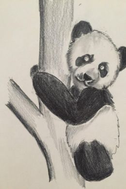Рисунок панда карандашом для детей