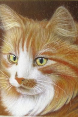 Кот рыжий рисунок красками