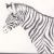 Рисунок для детей зебра карандашом