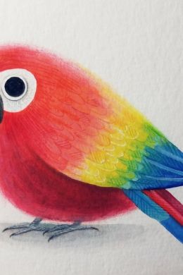 Рисунок попугая карандашом для детей
