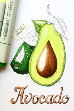 Авокадо скетч маркерами для начинающих