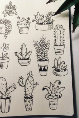 Рисунки растения для срисовки легкие