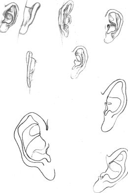Рисунок карандашом уха человека