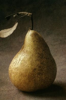 Натюрморт яблоко и груша рисунок